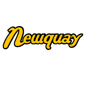 Personalised Newquay Holiday T Shirts