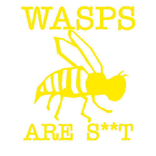 wasps-YELLOW.png wasps-YELLOW.png