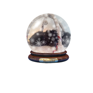 Custom Photo Upload Snowglobe T Shirt