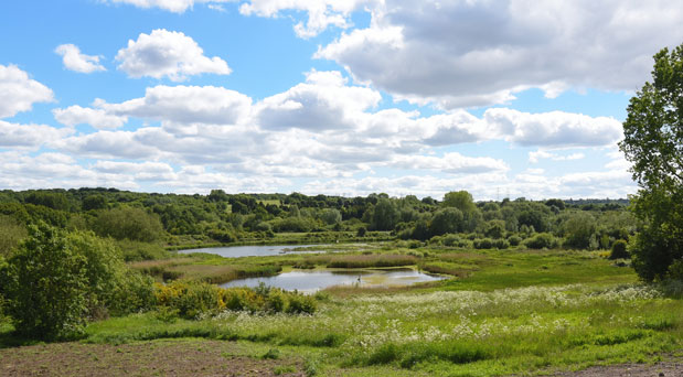 Sandwell Valley Park